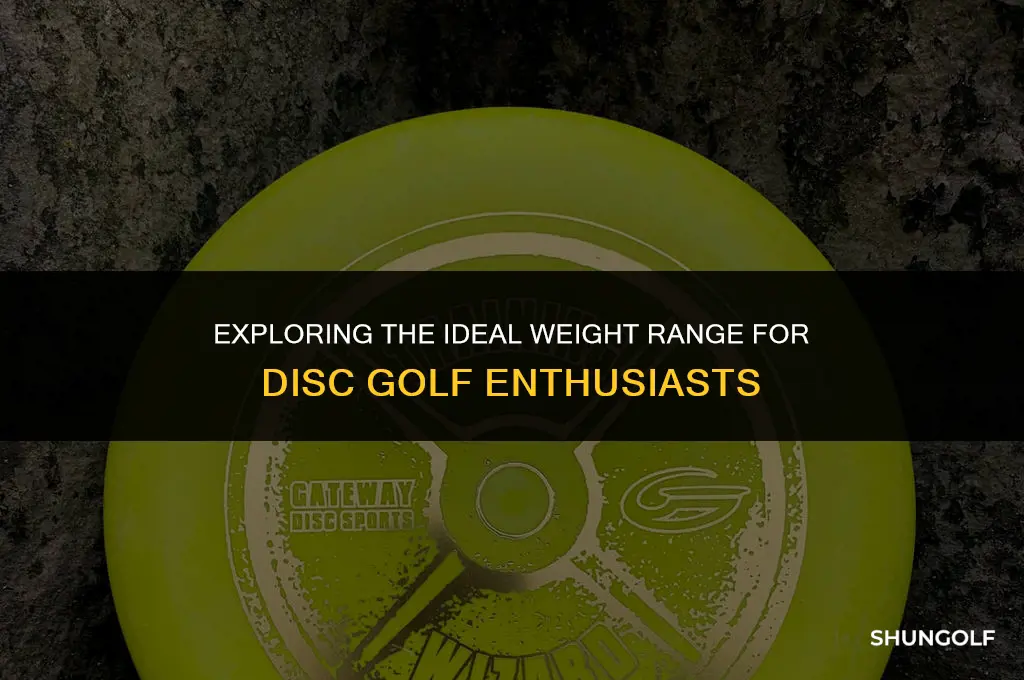 what disc golf weight