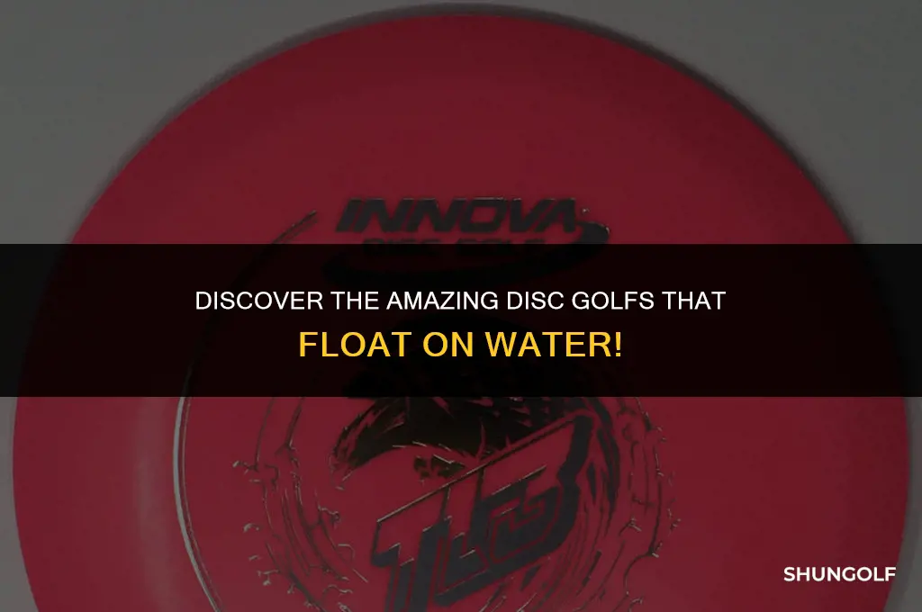 what disc golfs float on water