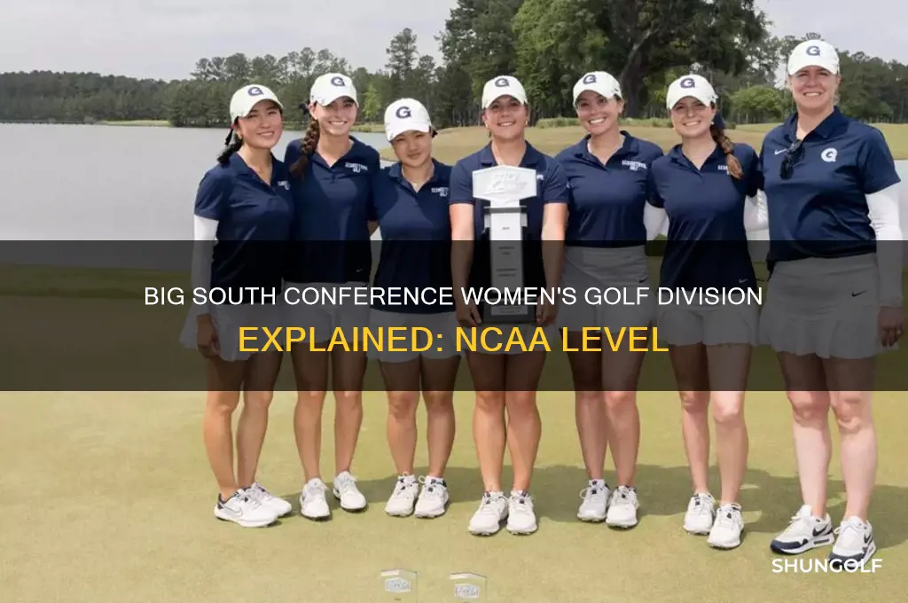 what division is big south conference in women