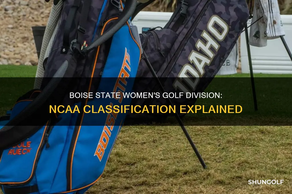 what division is boise state women