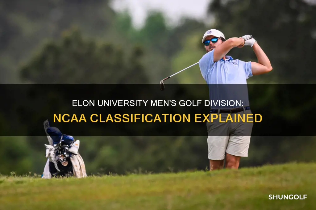 what division is elon in men