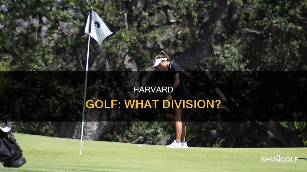 what division is harvard golf