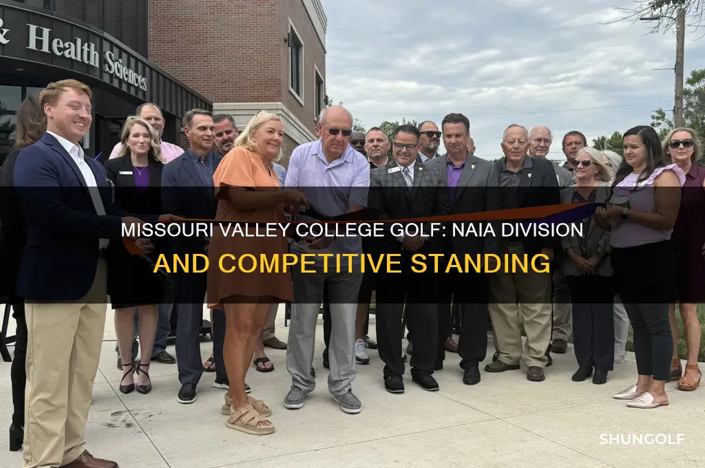 what division is missouri valley college golf