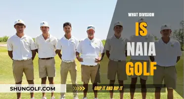 NAIA Golf: Competitive Division for Aspiring Athletes