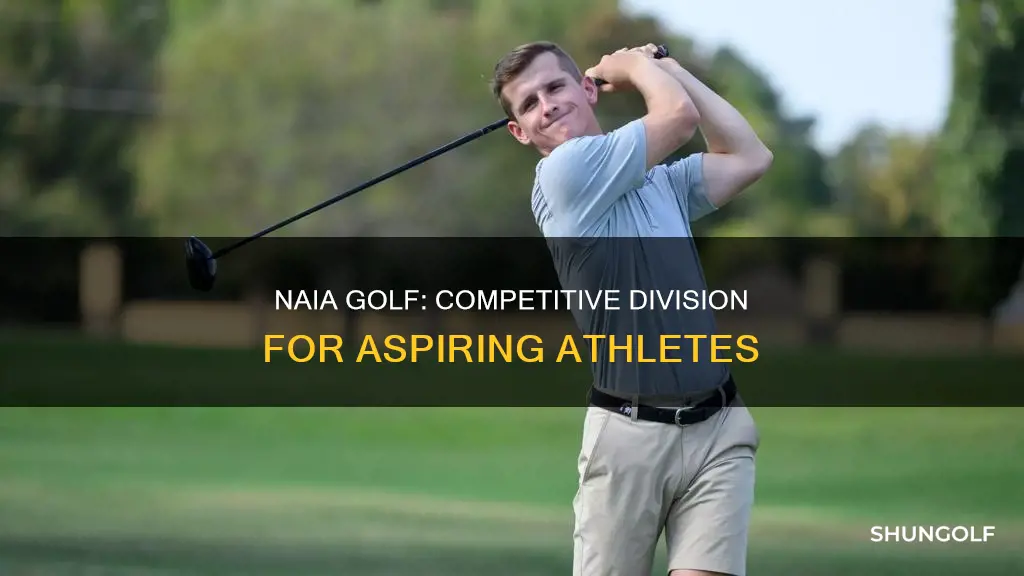 what division is naia golf