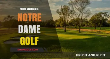 Notre Dame Golf: Which Division Do They Play In?