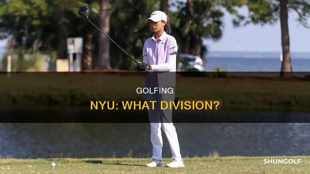 what division is nyu golf