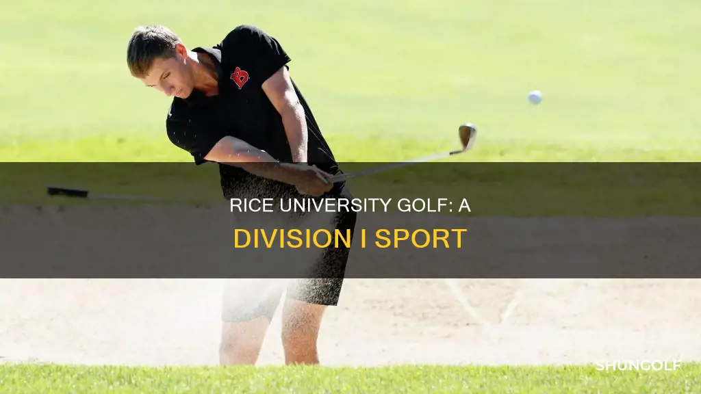 what division is rice university golf