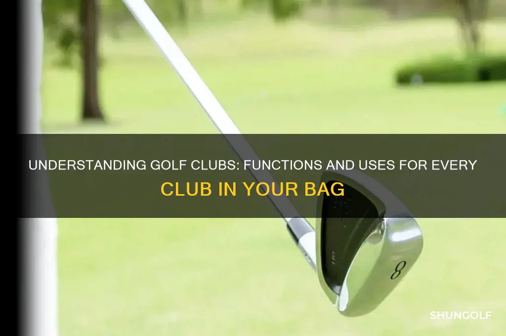 what do all the golf clubs do