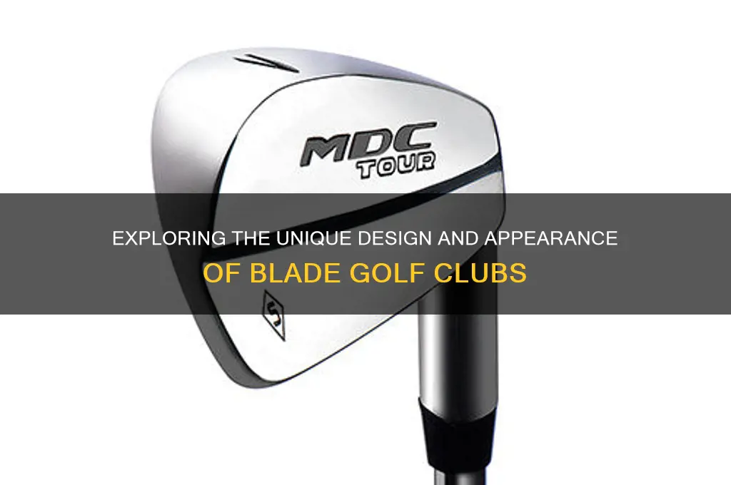 what do blade golf clubs look like