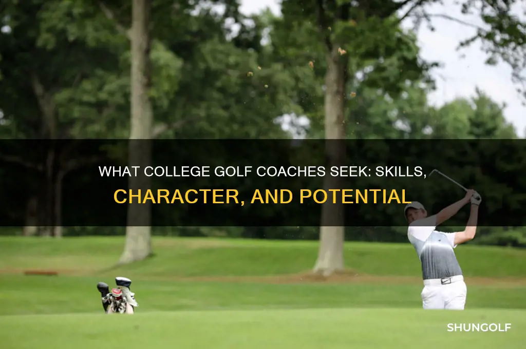 what do college golf coaches look for