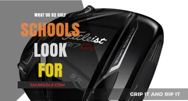 What D2 Golf Schools Seek: Key Traits and Skills for Recruitment