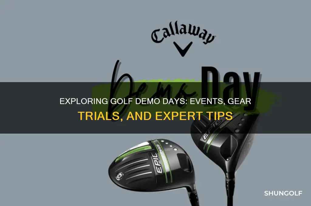what do demo days consist of for golf
