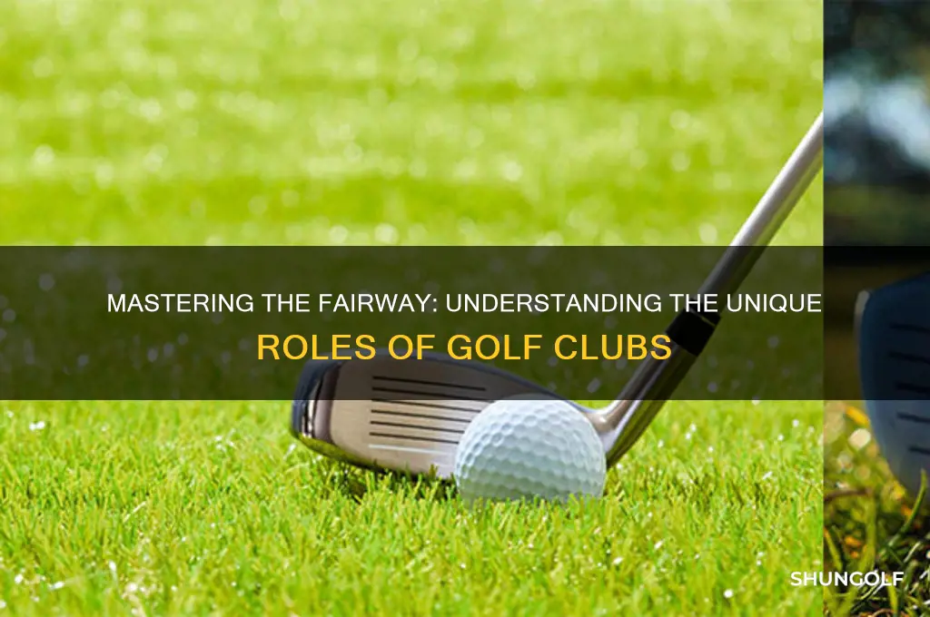 what do different golf clubs do