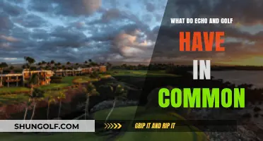 Echo and Golf: Uncovering the Surprising Connection Between Sound and Sport