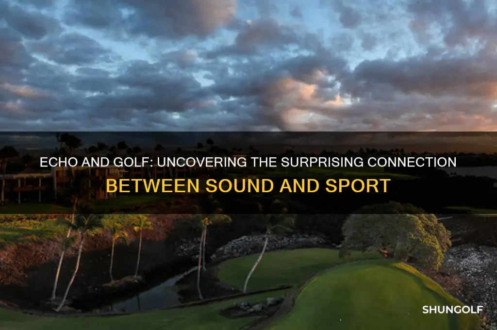 what do echo and golf have in common