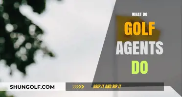 Golf Agents: Supporting Golfers' Careers
