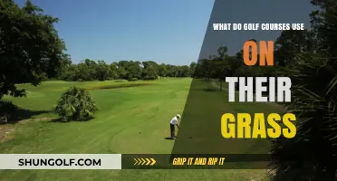 What Golf Courses Use: Grass Maintenance Secrets Revealed