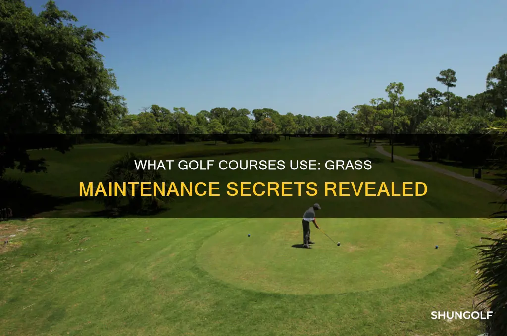 what do golf courses use on their grass