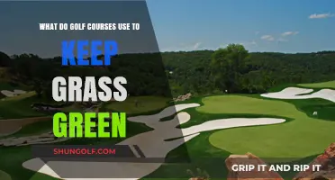 Secrets to Lush Greens: Golf Courses' Grass Maintenance Techniques