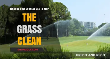 Maintaining Pristine Greens: Golf Courses' Secrets to Clean Grass