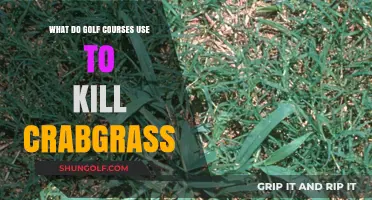 Effective Crabgrass Control: Golf Courses' Top Methods and Products