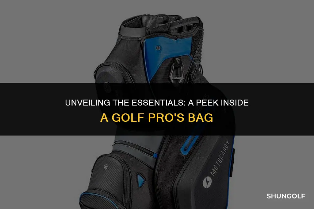 what do golf pros carry in their bags