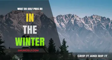 Winter Workouts: How Golf Pros Stay Sharp Off-Season