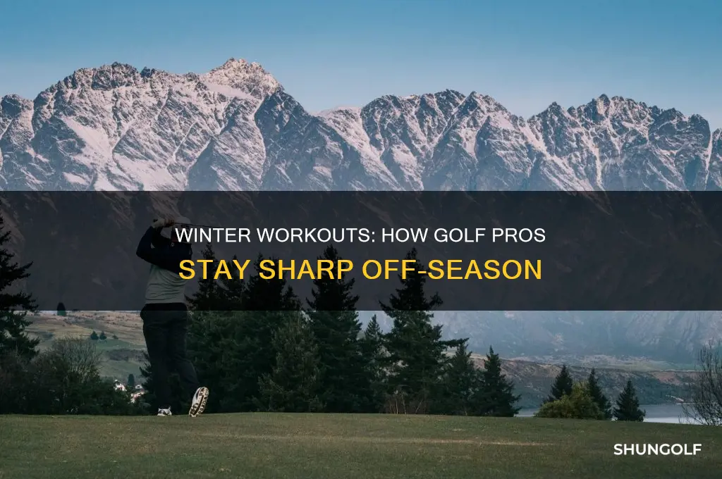 what do golf pros do in the winter