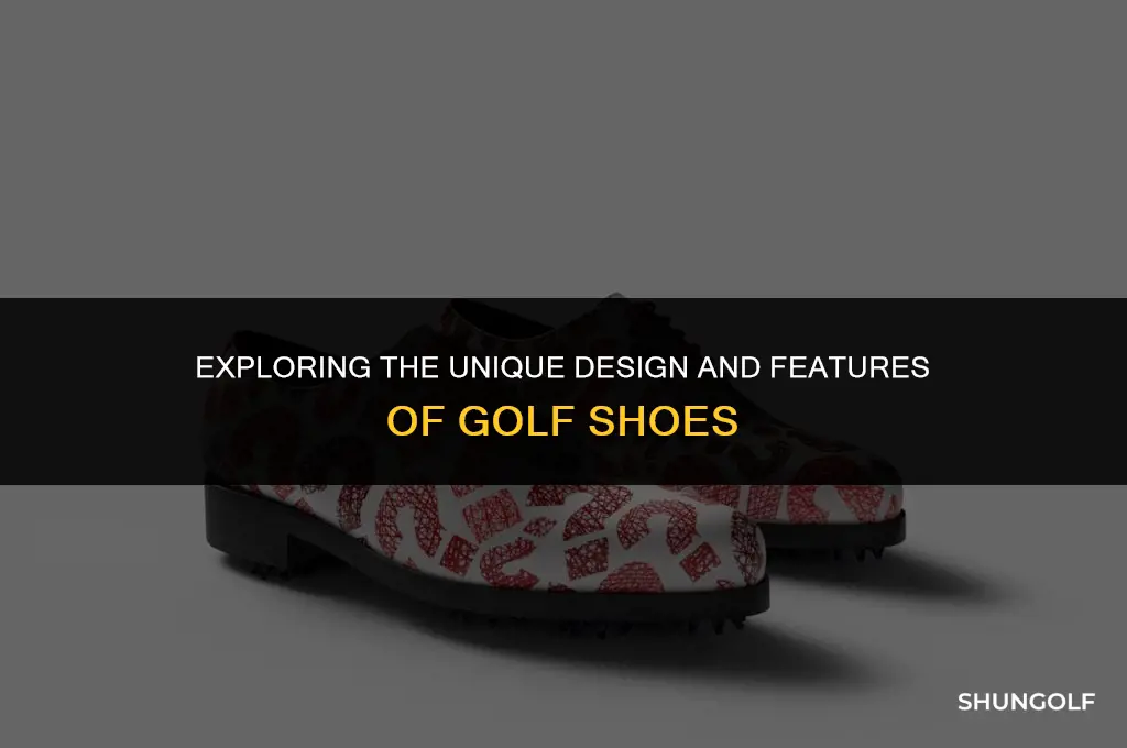 what do golf shoes look like