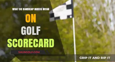 Understanding Handicap Indexes: Decoding Golf Scorecard Numbers for Better Play