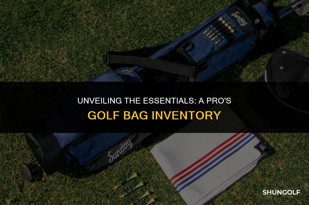 what do i have in my golf bag pros