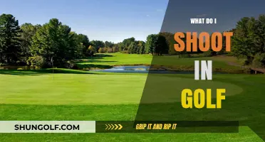 Golf Shots: What Should You Aim For?