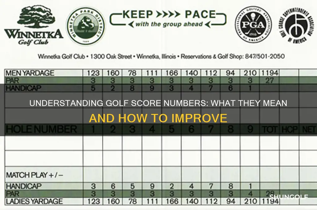 what do numbers golf score next to