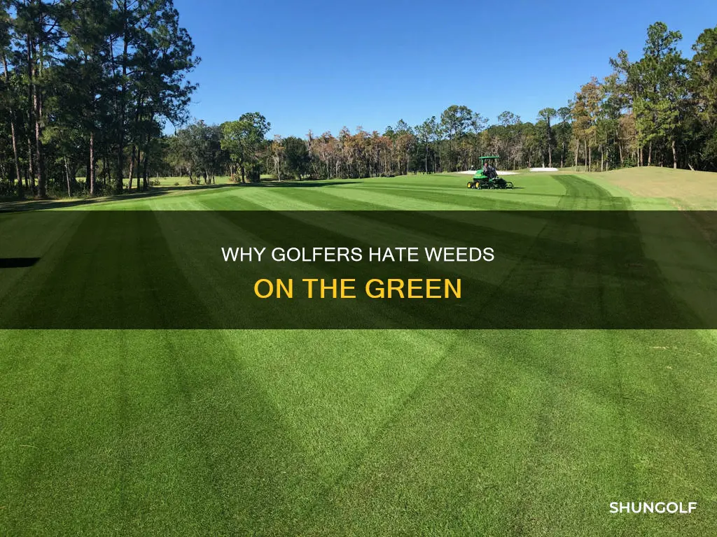 what do people hate reed golf