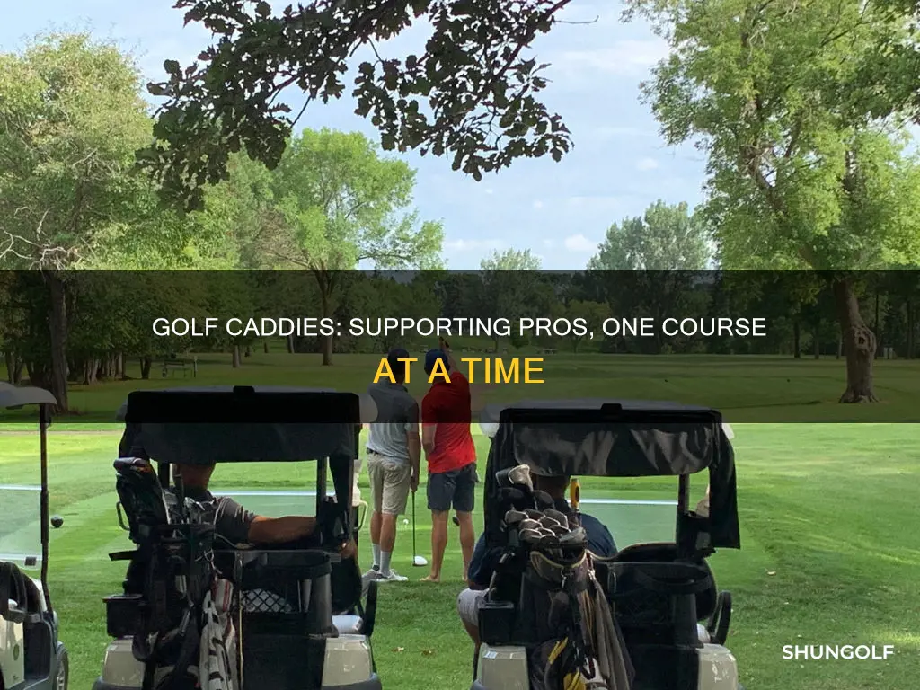 what do professional golf caddies do