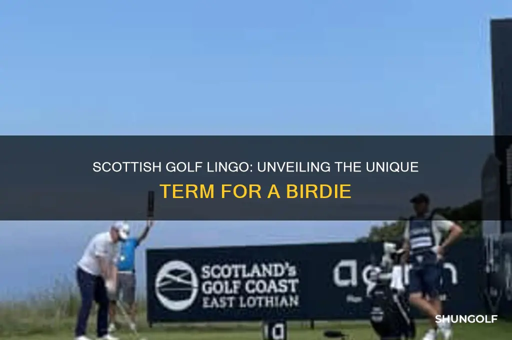 what do scottish people call a birdie in golf