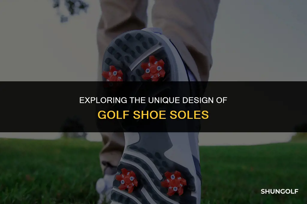 what do the bottom of golf shoes look like