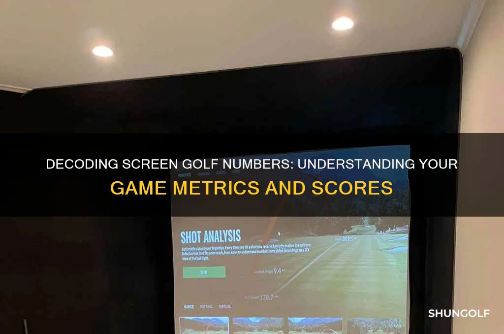 what do the numbers on the screen golf
