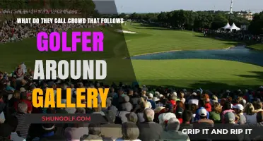 Gallery on the Green: Understanding the Crowd Following Golfers