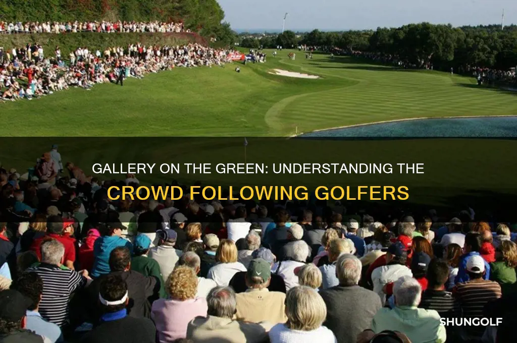 what do they call crowd that follows golfer around gallery