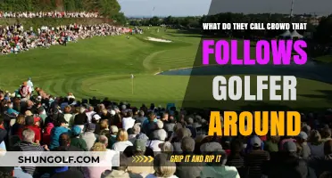 The Gallery: Understanding the Crowd That Follows Golfers Around