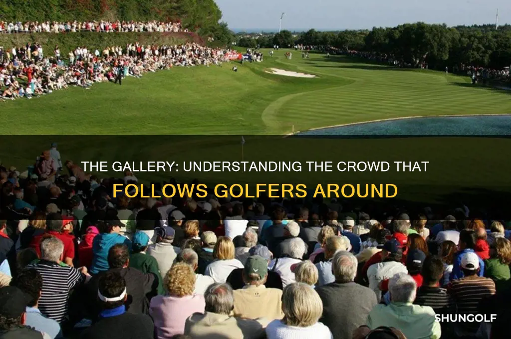 what do they call crowd that follows golfer around