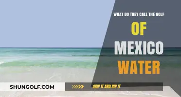 Exploring the Unique Names for the Gulf of Mexico's Waters