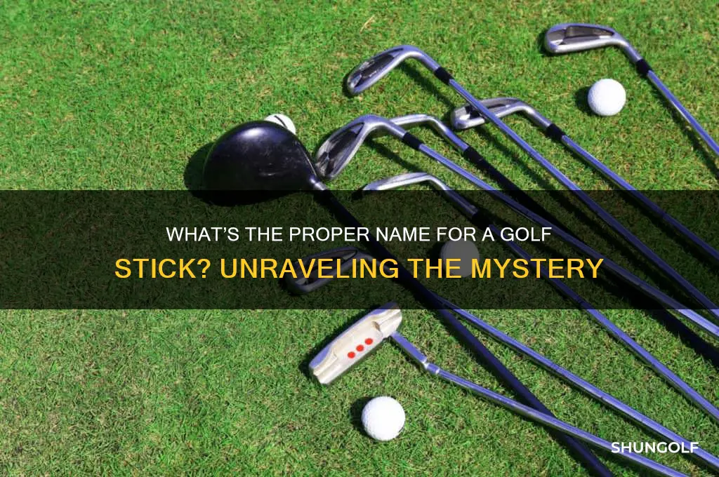 what do u call a golf stick