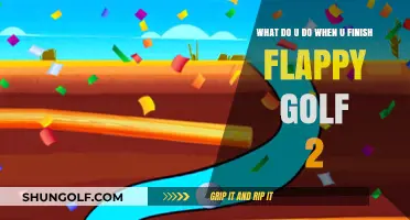 Flappy Golf 2 Completed: Next Steps and Post-Game Strategies