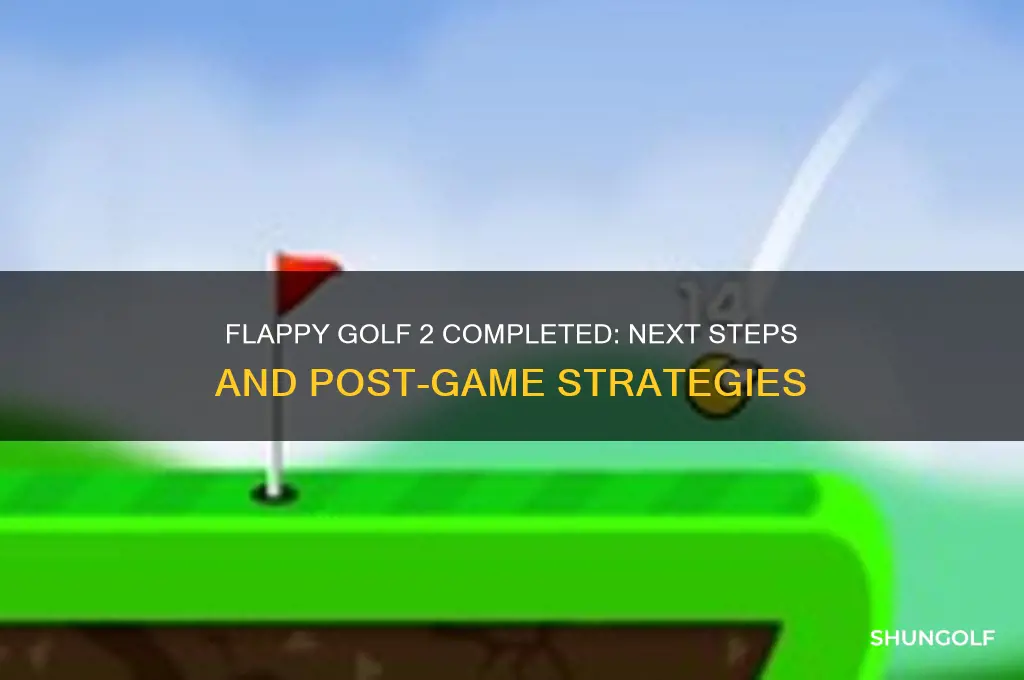 what do u do when u finish flappy golf 2