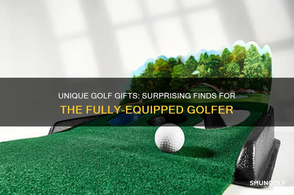what do you buy the golfer who has everything