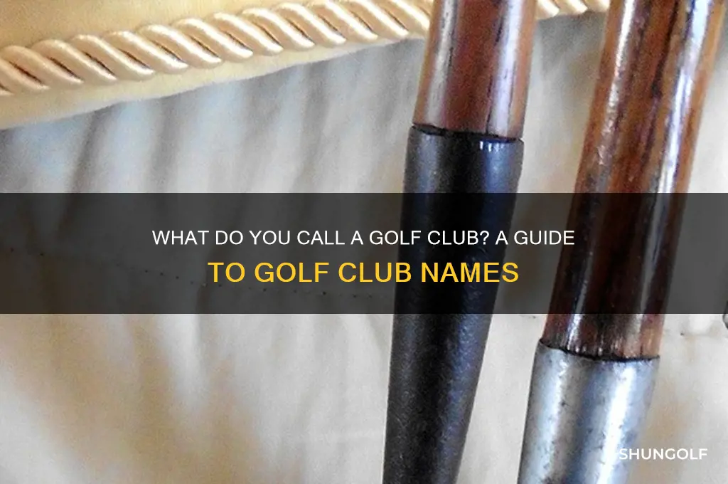 what do you call a golf club