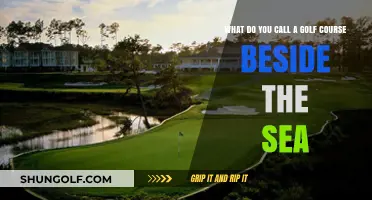 Coastal Fairways: Exploring the Charm of Seaside Golf Courses